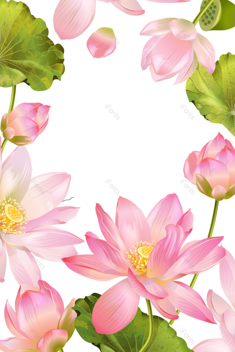 夏天图片,花卉元素,花朵PNG,鲜花免抠素材